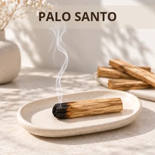 PALO SANTO